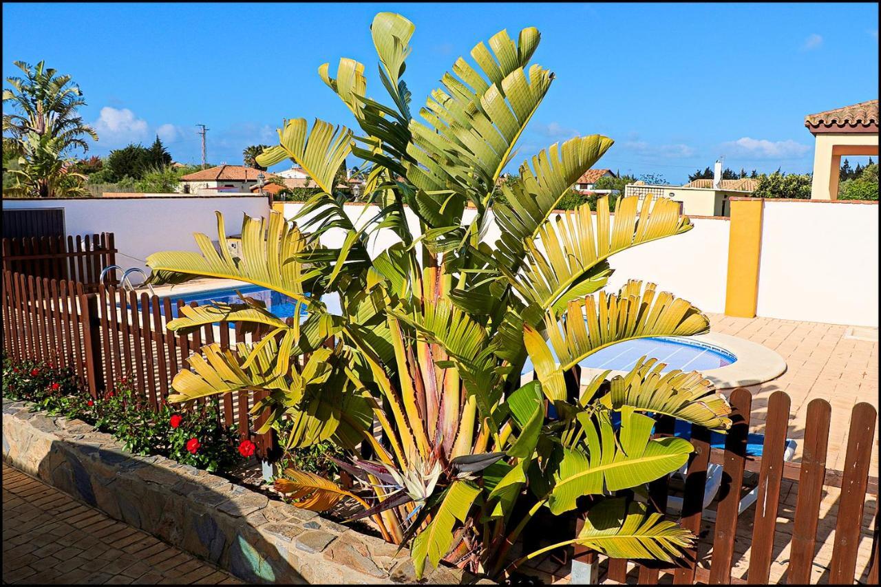 Chalet Con Piscina Privada Conil De La Frontera Bagian luar foto